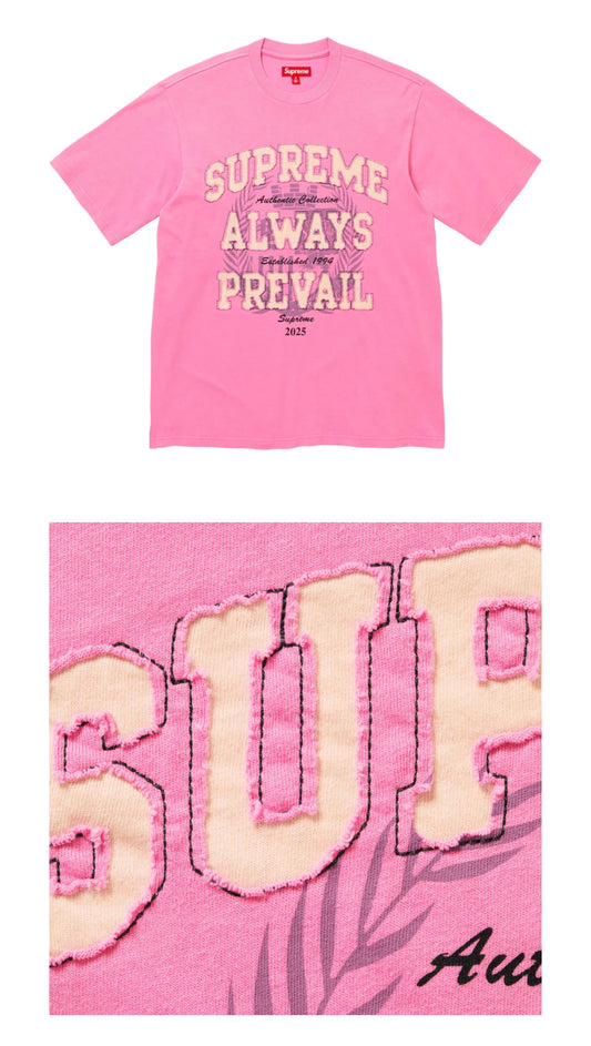 SUPREME ALWAYS PREVAIL TOP PINK